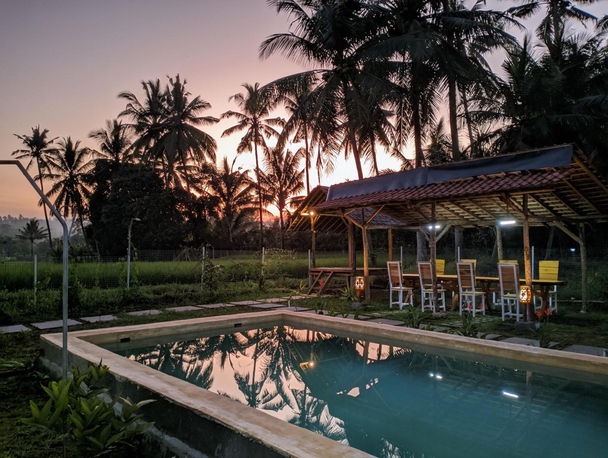 Wooden Kemiren Homestay Banyuwangi Banyuwangi  Luaran gambar